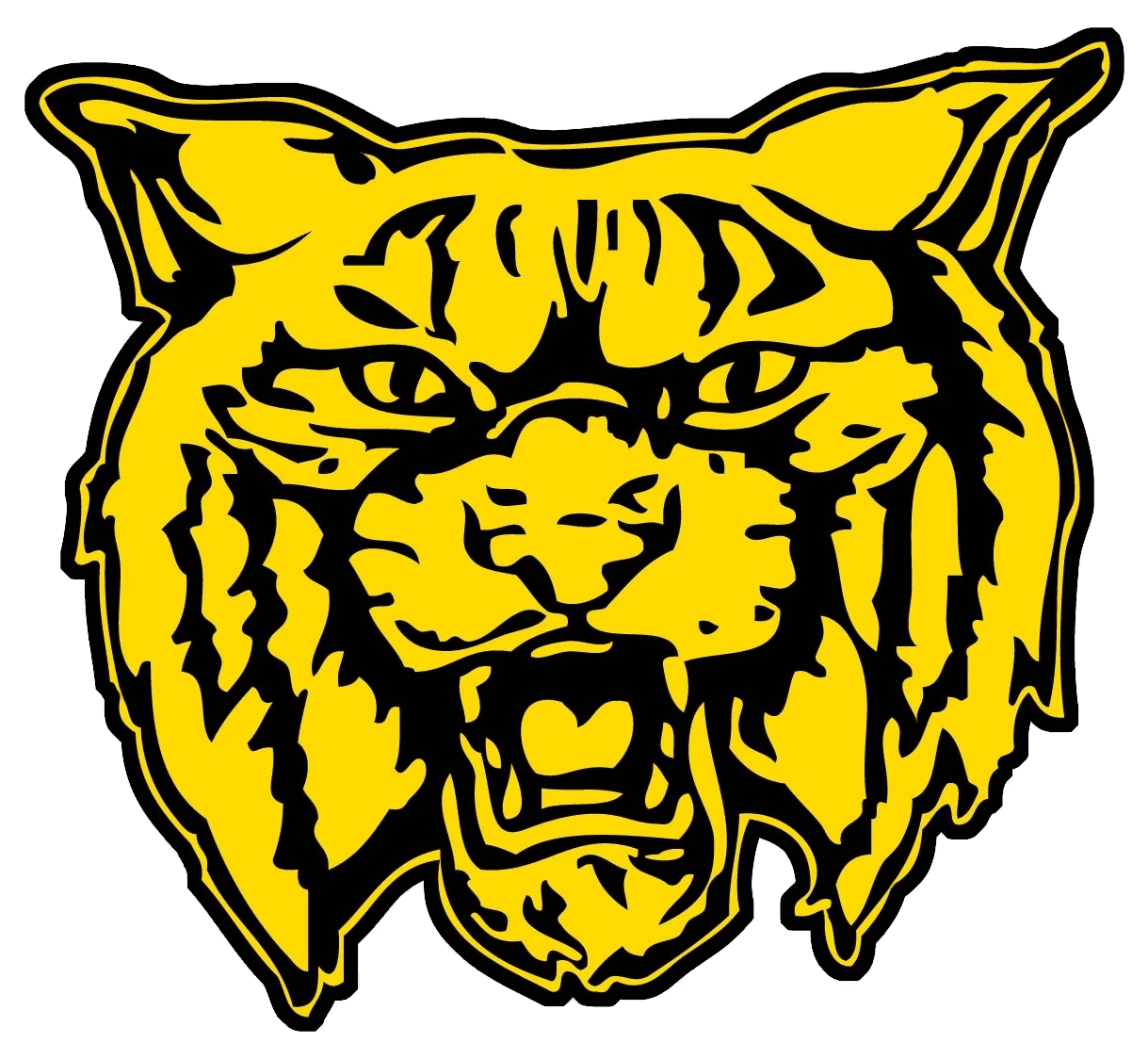 Dillon High School