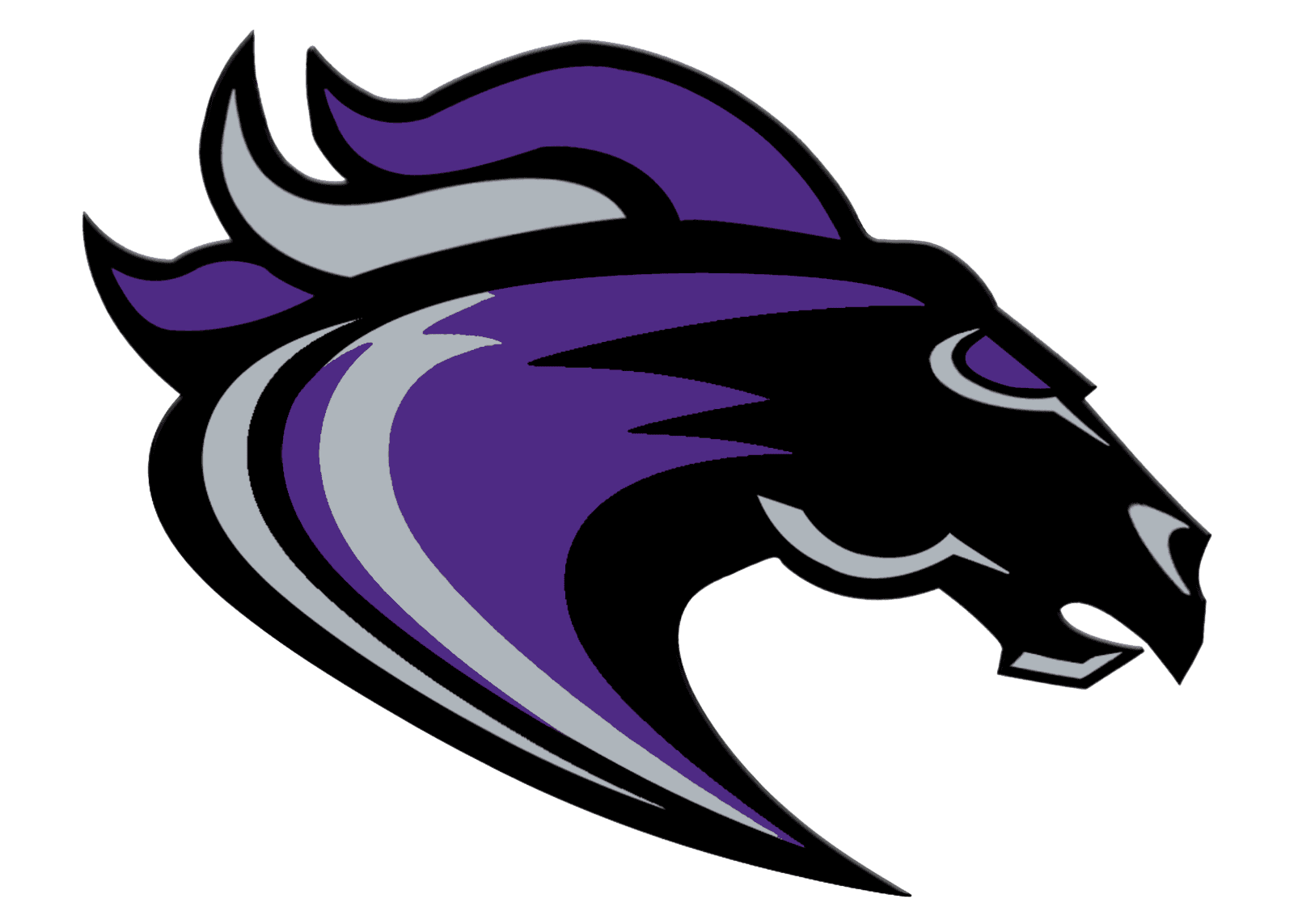Ridge View High School